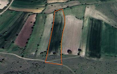 CENTURY BAL'DAN KESİRVENDE 6092 M2 SATILIK TARLA