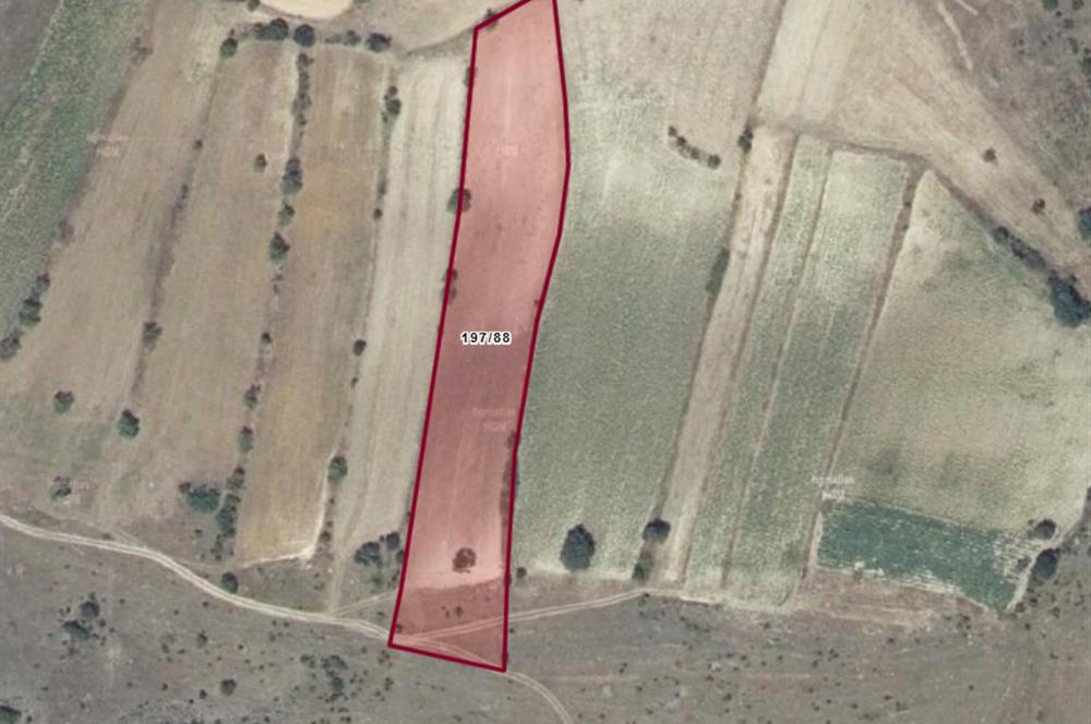 CENTURY BAL'DAN KESİRVENDE 6092 M2 SATILIK TARLA