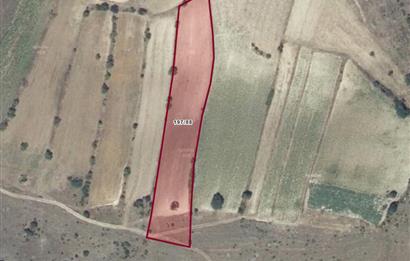 CENTURY BAL'DAN KESİRVENDE 6092 M2 SATILIK TARLA