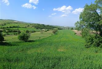 CENTURY BAL'DAN KESİRVENDE 6092 M2 SATILIK TARLA
