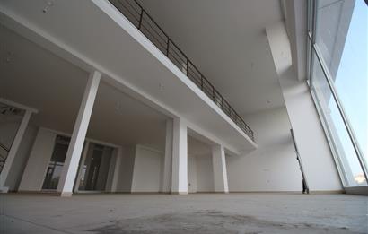 C21 MY MADRA EDREMİTTE 353 M2 AVM YANINDA KİRALIK 3 KATLI DÜKKAN