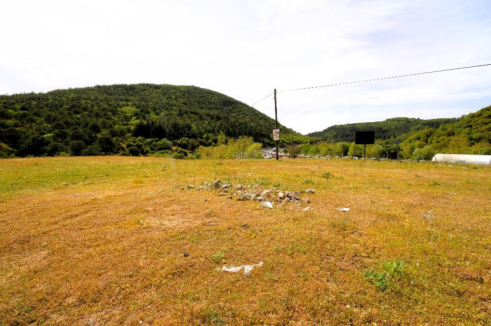 C21 MY MADRA DAN ANA ASFALTDA TİCARİ KULLANIMA UYGUN 9331 M2..