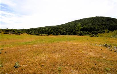 C21 MY MADRA DAN ANA ASFALTDA TİCARİ KULLANIMA UYGUN 9331 M2..