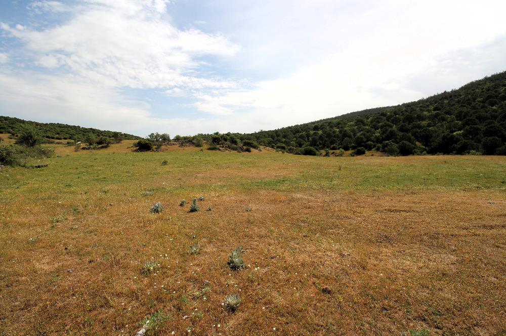 C21 MY MADRA DAN ANA ASFALTDA TİCARİ KULLANIMA UYGUN 9331 M2..