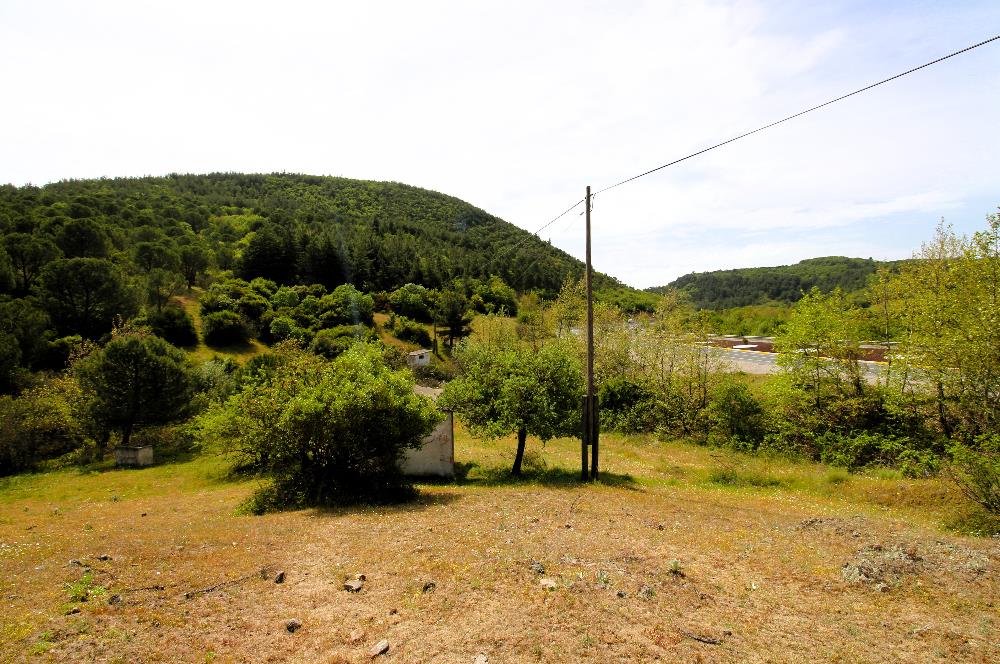 C21 MY MADRA DAN ANA ASFALTDA TİCARİ KULLANIMA UYGUN 9331 M2..