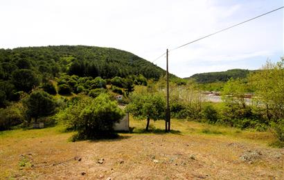 C21 MY MADRA DAN ANA ASFALTDA TİCARİ KULLANIMA UYGUN 9331 M2..