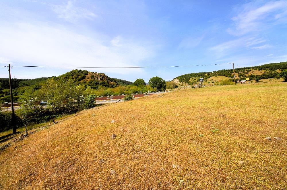 C21 MY MADRA DAN ANA ASFALTDA TİCARİ KULLANIMA UYGUN 9331 M2..