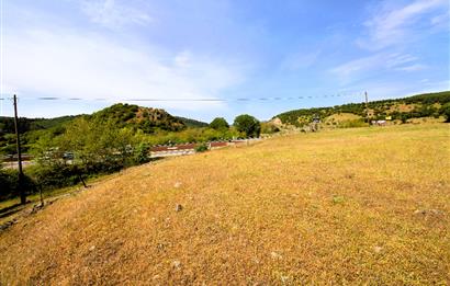 C21 MY MADRA DAN ANA ASFALTDA TİCARİ KULLANIMA UYGUN 9331 M2..