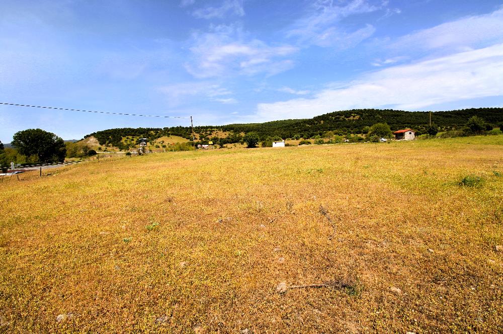 C21 MY MADRA DAN ANA ASFALTDA TİCARİ KULLANIMA UYGUN 9331 M2..