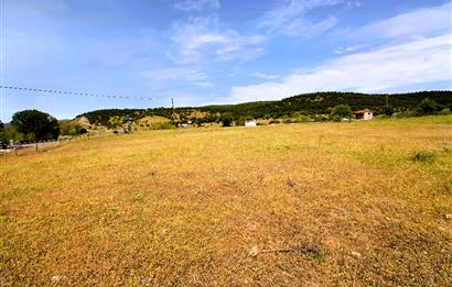 C21 MY MADRA DAN ANA ASFALTDA TİCARİ KULLANIMA UYGUN 9331 M2..