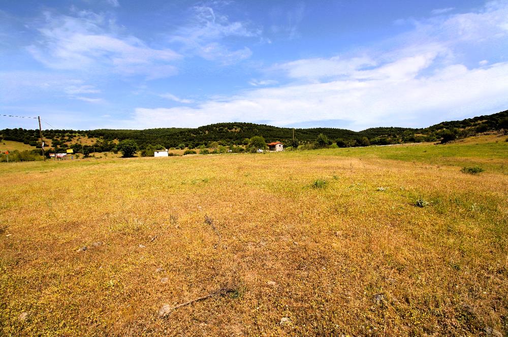 C21 MY MADRA DAN ANA ASFALTDA TİCARİ KULLANIMA UYGUN 9331 M2..