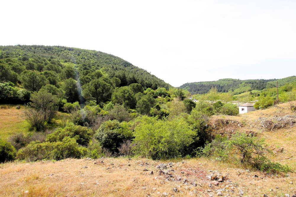 C21 MY MADRA DAN ANA ASFALTDA TİCARİ KULLANIMA UYGUN 9331 M2..