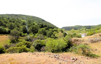 C21 MY MADRA DAN ANA ASFALTDA TİCARİ KULLANIMA UYGUN 9331 M2..