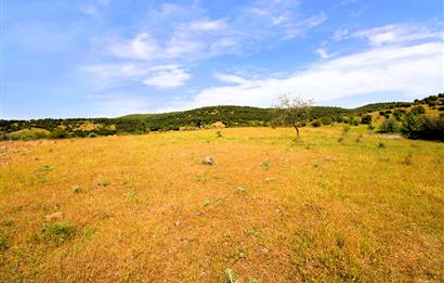 C21 MY MADRA DAN ANA ASFALTDA TİCARİ KULLANIMA UYGUN 9331 M2..
