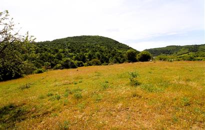 C21 MY MADRA DAN ANA ASFALTDA TİCARİ KULLANIMA UYGUN 9331 M2..