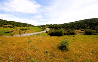 C21 MY MADRA DAN ANA ASFALTDA TİCARİ KULLANIMA UYGUN 9331 M2..