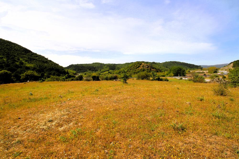 C21 MY MADRA DAN ANA ASFALTDA TİCARİ KULLANIMA UYGUN 9331 M2..