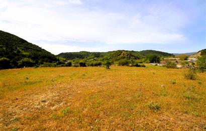 C21 MY MADRA DAN ANA ASFALTDA TİCARİ KULLANIMA UYGUN 9331 M2..