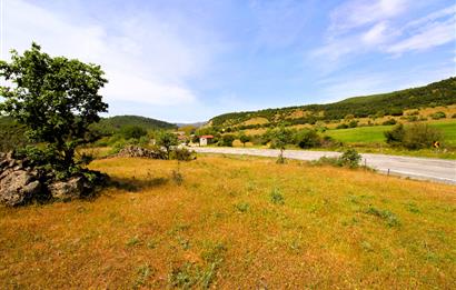C21 MY MADRA DAN ANA ASFALTDA TİCARİ KULLANIMA UYGUN 9331 M2..