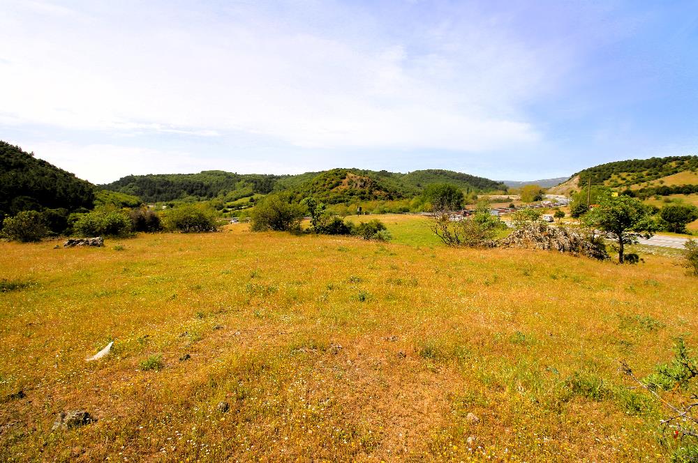 C21 MY MADRA DAN ANA ASFALTDA TİCARİ KULLANIMA UYGUN 9331 M2..