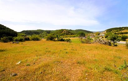 C21 MY MADRA DAN ANA ASFALTDA TİCARİ KULLANIMA UYGUN 9331 M2..