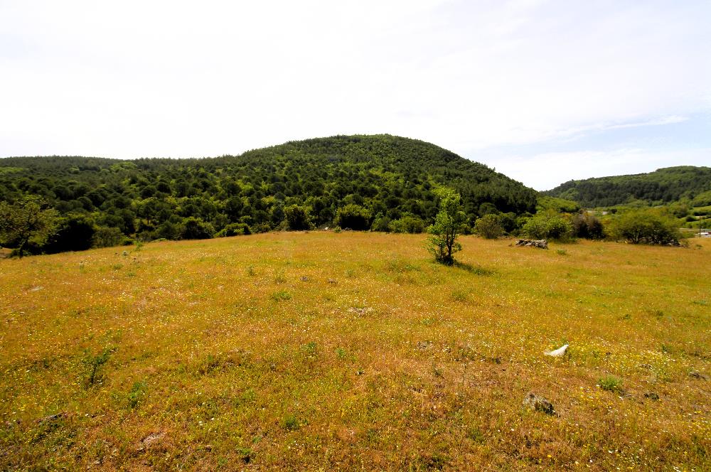 C21 MY MADRA DAN ANA ASFALTDA TİCARİ KULLANIMA UYGUN 9331 M2..