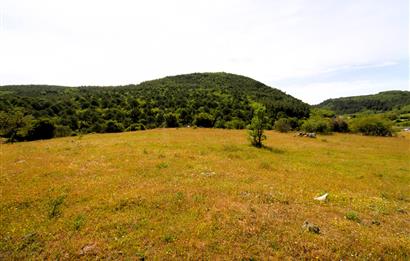C21 MY MADRA DAN ANA ASFALTDA TİCARİ KULLANIMA UYGUN 9331 M2..
