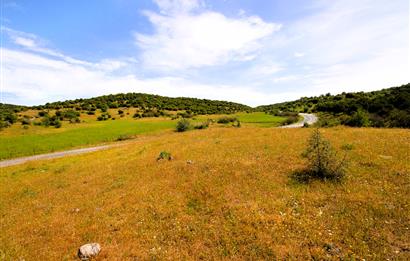 C21 MY MADRA DAN ANA ASFALTDA TİCARİ KULLANIMA UYGUN 9331 M2..