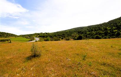 C21 MY MADRA DAN ANA ASFALTDA TİCARİ KULLANIMA UYGUN 9331 M2..