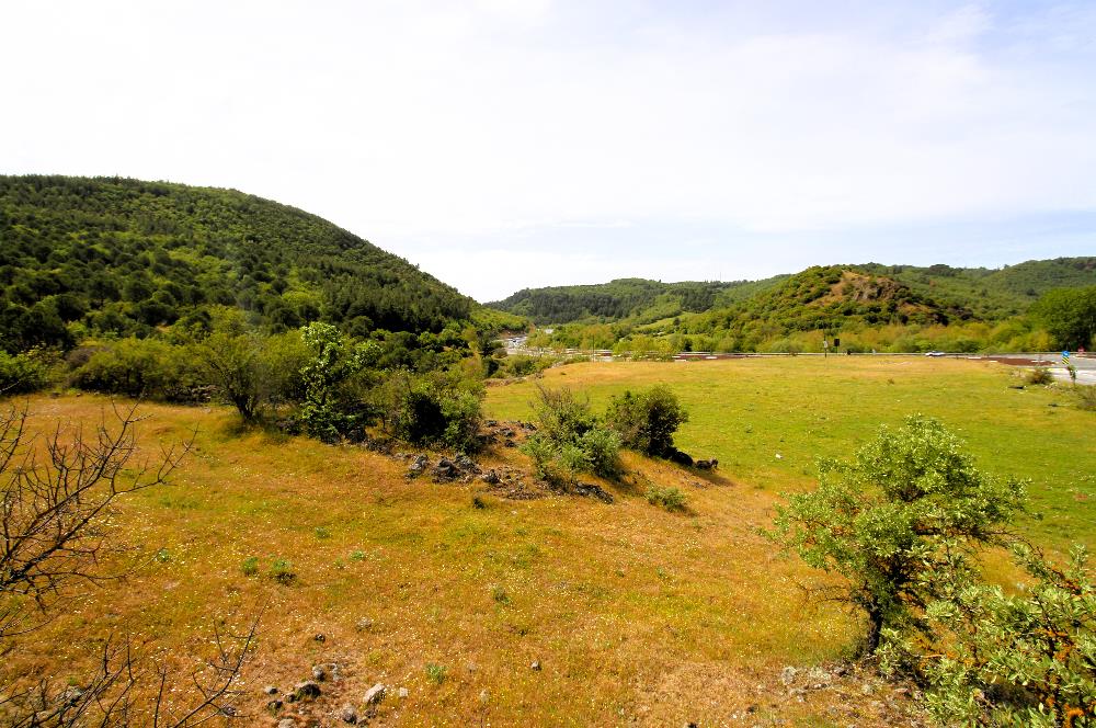 C21 MY MADRA DAN ANA ASFALTDA TİCARİ KULLANIMA UYGUN 9331 M2..