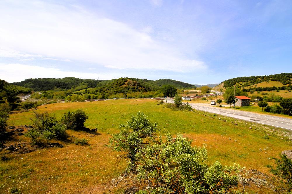 C21 MY MADRA DAN ANA ASFALTDA TİCARİ KULLANIMA UYGUN 9331 M2..