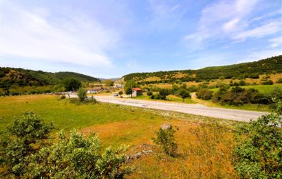 C21 MY MADRA DAN ANA ASFALTDA TİCARİ KULLANIMA UYGUN 9331 M2..