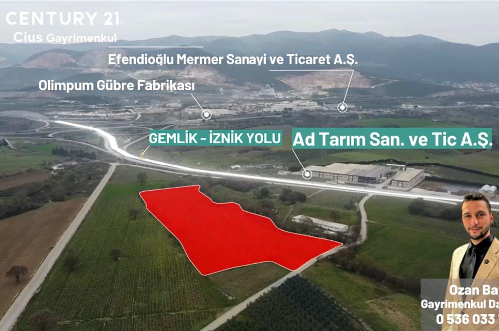 C21 Cius; Asfalt Yola 80 Metre Cepheli 30 Dönüm Dümdüz Tarla