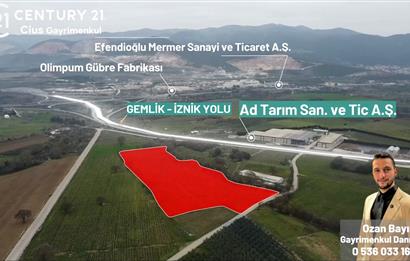 C21 Cius; Asfalt Yola 80 Metre Cepheli 30 Dönüm Dümdüz Tarla