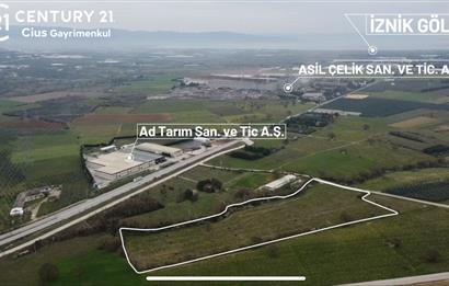 C21 Cius; Asfalt Yola 80 Metre Cepheli 30 Dönüm Dümdüz Tarla