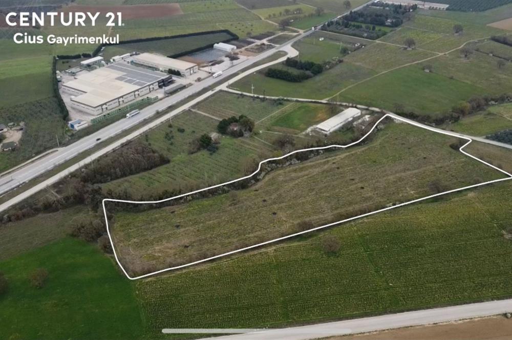 C21 Cius; Asfalt Yola 80 Metre Cepheli 30 Dönüm Dümdüz Tarla