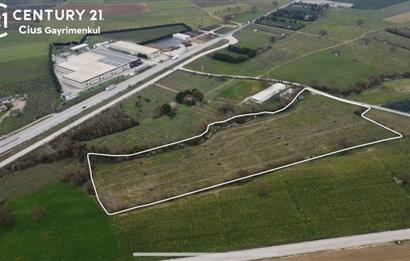 C21 Cius; Asfalt Yola 80 Metre Cepheli 30 Dönüm Dümdüz Tarla