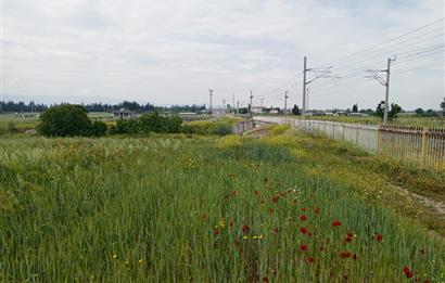 İzmir Menderes Develi'de Hisseli Satılık Tarla