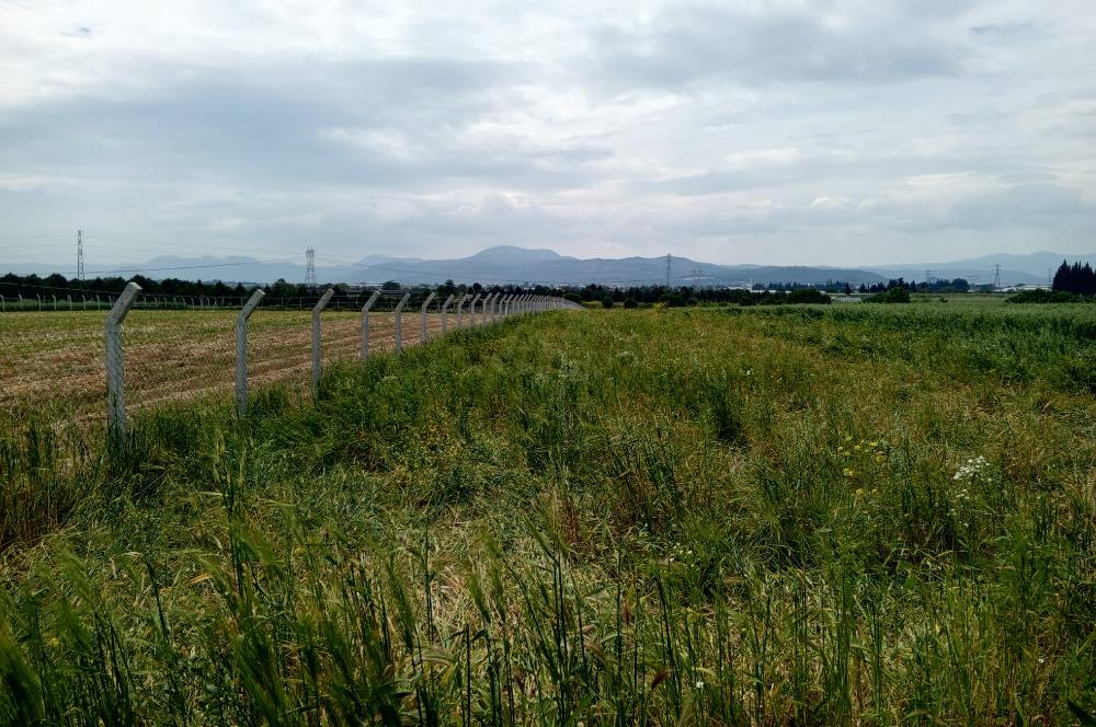 İzmir Menderes Develi'de Hisseli Satılık Tarla