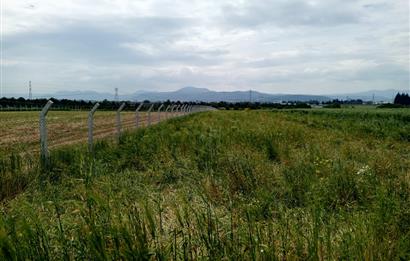 İzmir Menderes Develi'de Hisseli Satılık Tarla