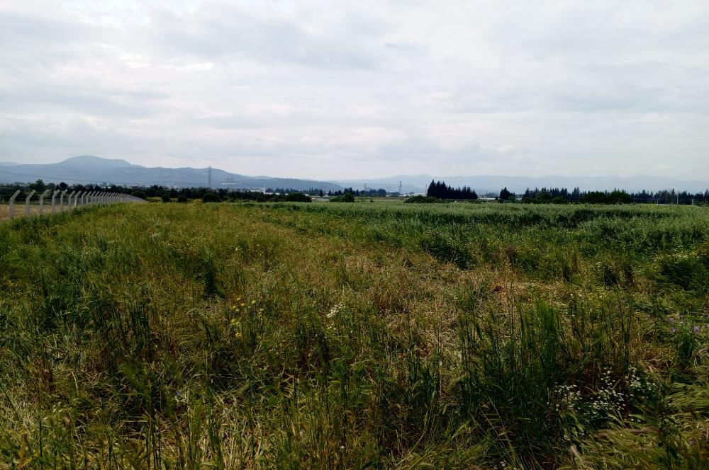 İzmir Menderes Develi'de Hisseli Satılık Tarla