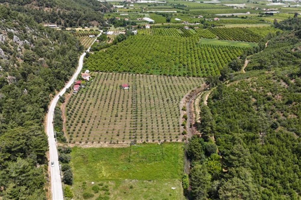 Muğla Ortaca 28 Dönüm Tam Donanımlı Çiftlik