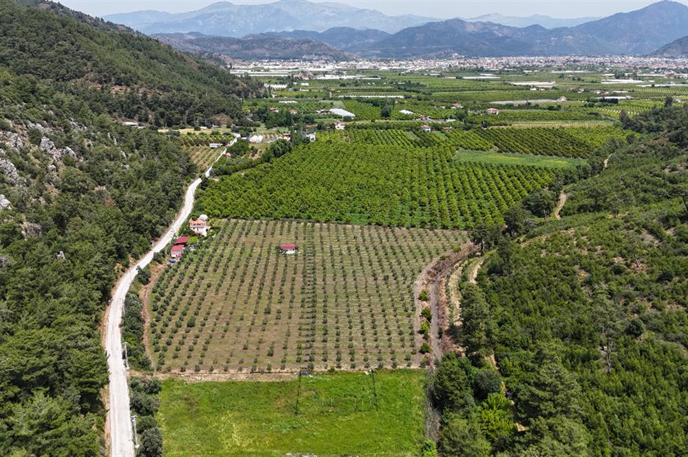 Muğla Ortaca 28 Dönüm Tam Donanımlı Çiftlik