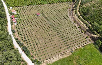 Muğla Ortaca 28 Dönüm Tam Donanımlı Çiftlik