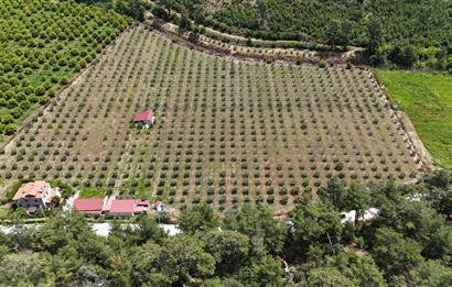 Muğla Ortaca 28 Dönüm Tam Donanımlı Çiftlik