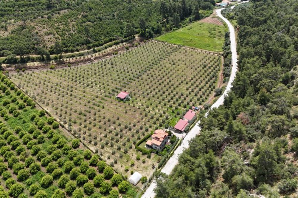 Muğla Ortaca 28 Dönüm Tam Donanımlı Çiftlik