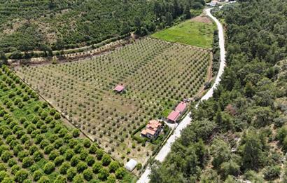 Muğla Ortaca 28 Dönüm Tam Donanımlı Çiftlik