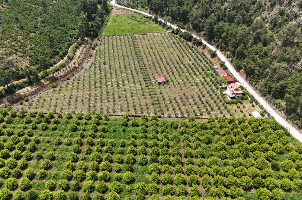 Muğla Ortaca 28 Dönüm Tam Donanımlı Çiftlik