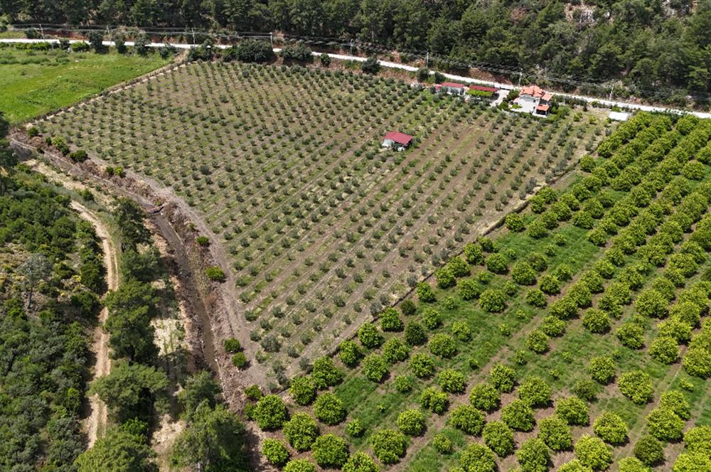 Muğla Ortaca 28 Dönüm Tam Donanımlı Çiftlik