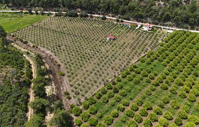 Muğla Ortaca 28 Dönüm Tam Donanımlı Çiftlik